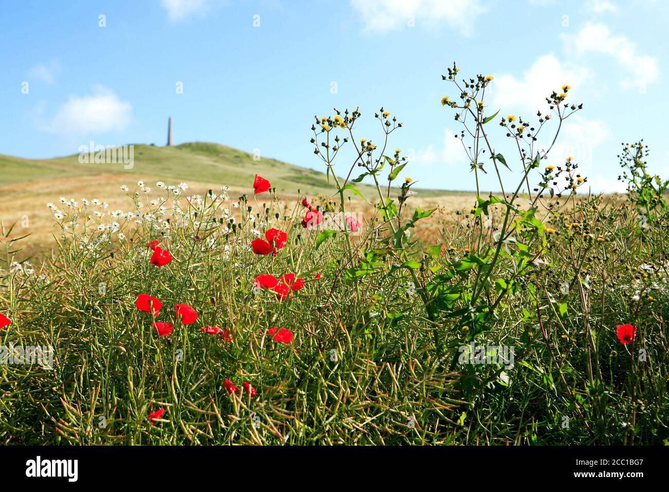 Frankreich, Pas-de-Calais, Cap Blanc Nez. Stockfoto