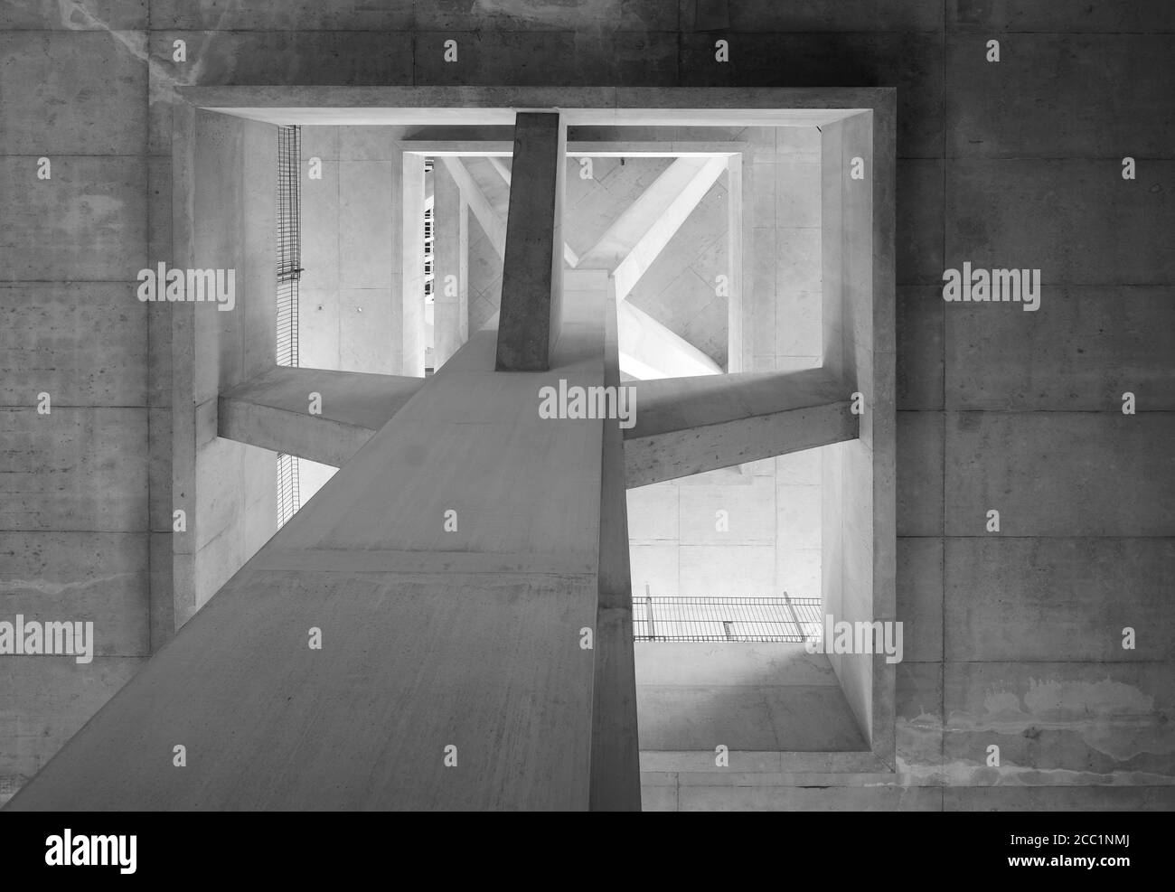 Schwarz-weiß Ansicht nach oben zur Betonbaumsäule in Lichthaus. The Marshall Building LSE, London, Vereinigtes Königreich. Architekt: Grafton Architects, 2 Stockfoto