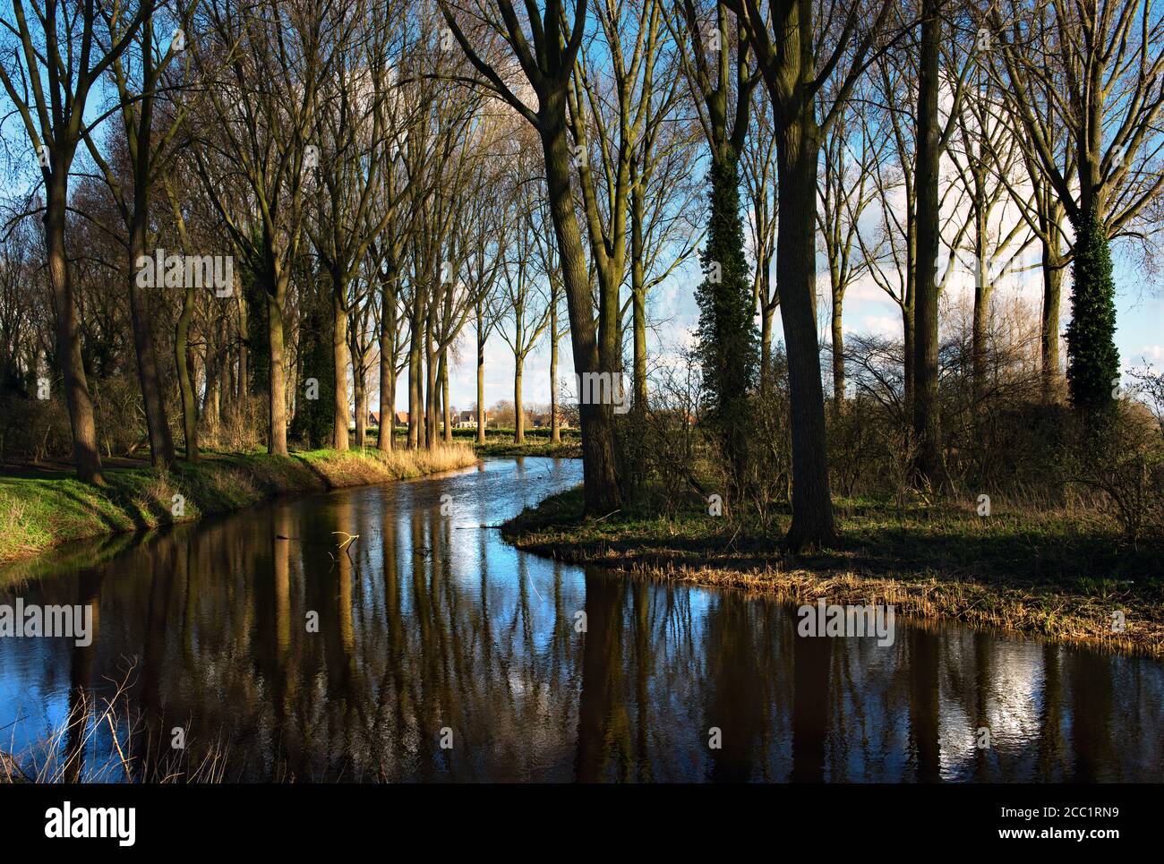 Eine malerische Waldlandschaft im kleinen Dorf Damme in Belgien Stockfoto