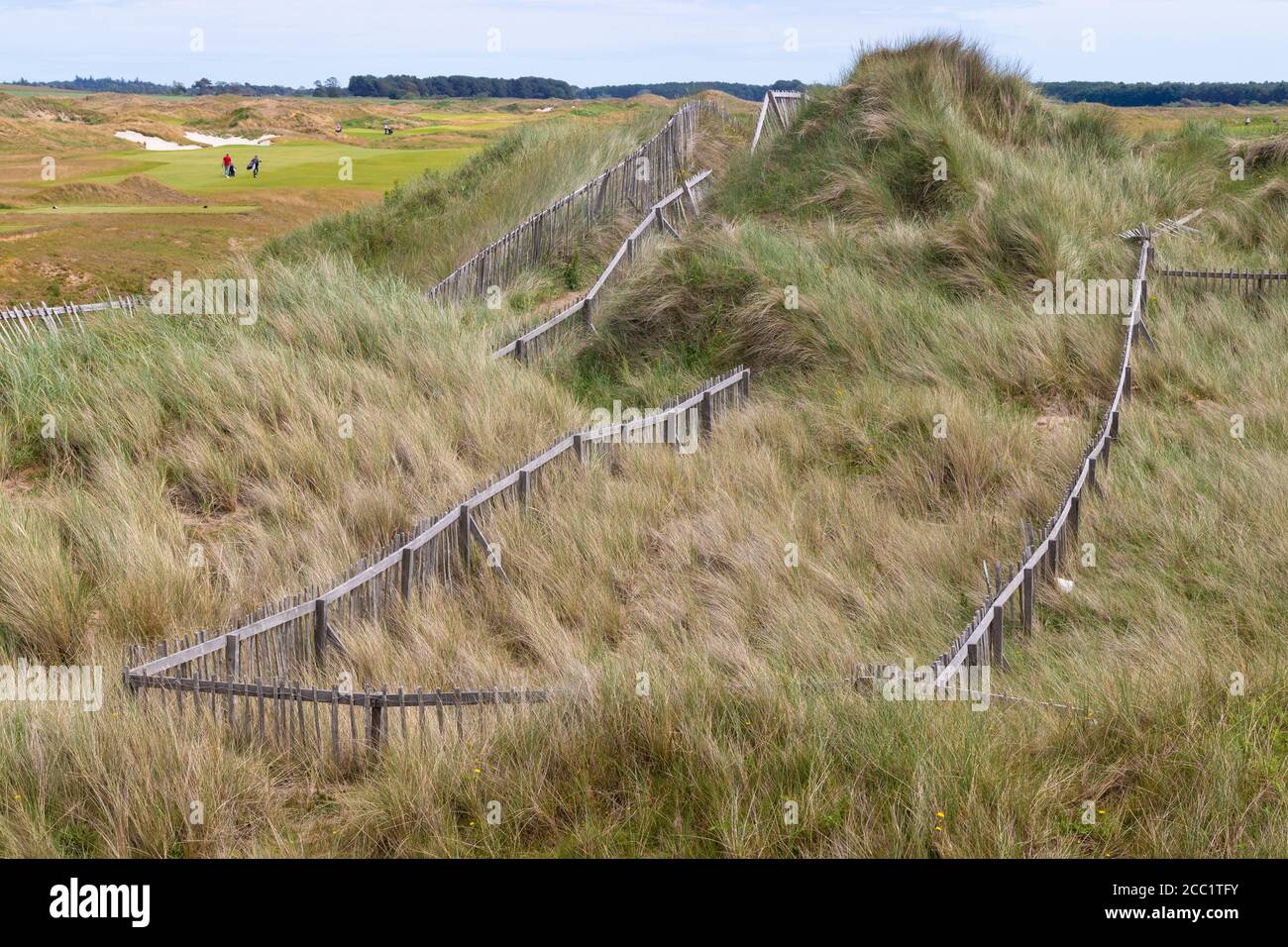 Holzzäune entlang der Küste von Fife, um die fragilen Sanddünen zu schützen. Stockfoto