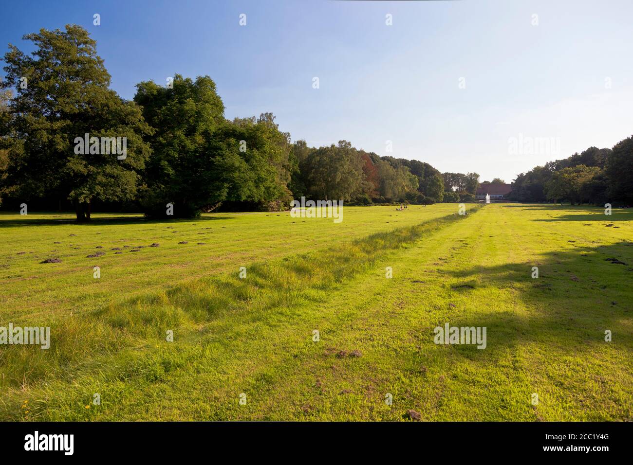 Deutschland, Nordrhein-Westfalen, Bottrop, Blick auf den Garten im Sommer Stockfoto