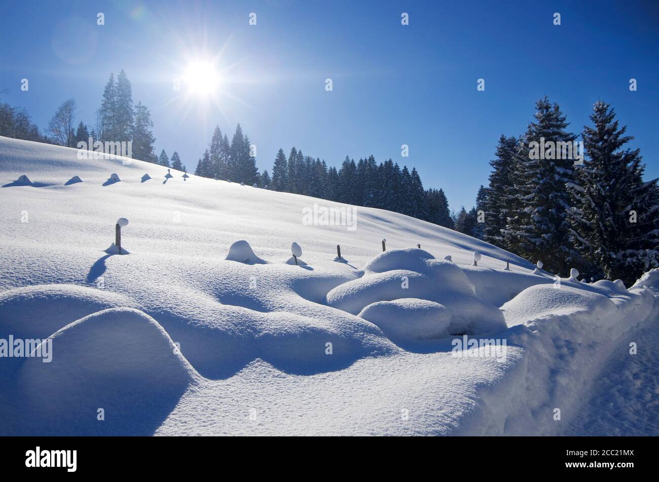 Deutschland, Bayern, Blick auf verschneite Winterlandschaft Tal Stockfoto