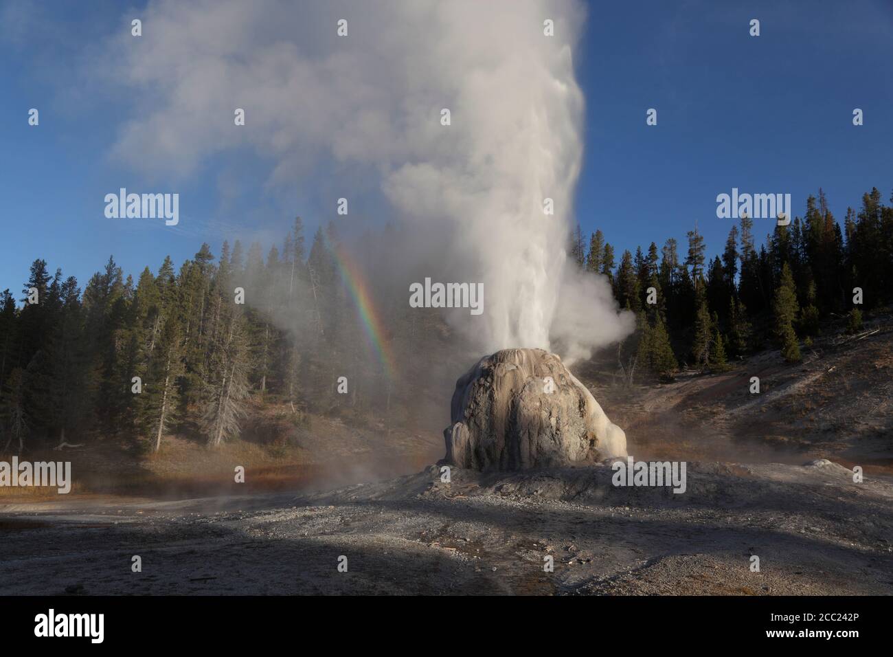 Ansicht von Lone Star Geysir im Yellowstone National Park Stockfoto