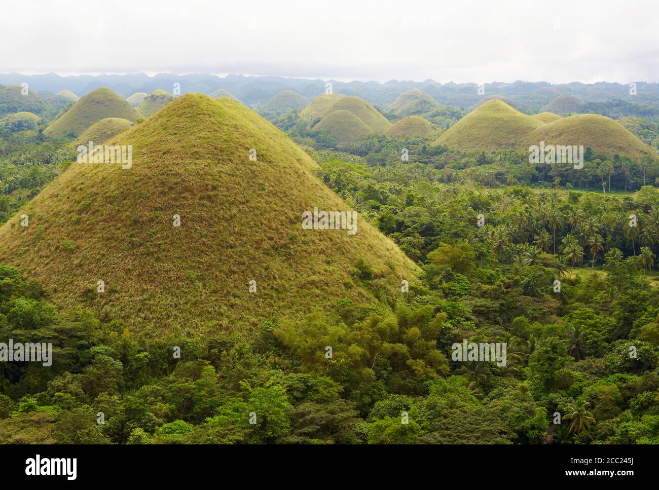 Philippinen, Visayas Inseln, Bohol Insel, Chocolate Hills. Stockfoto