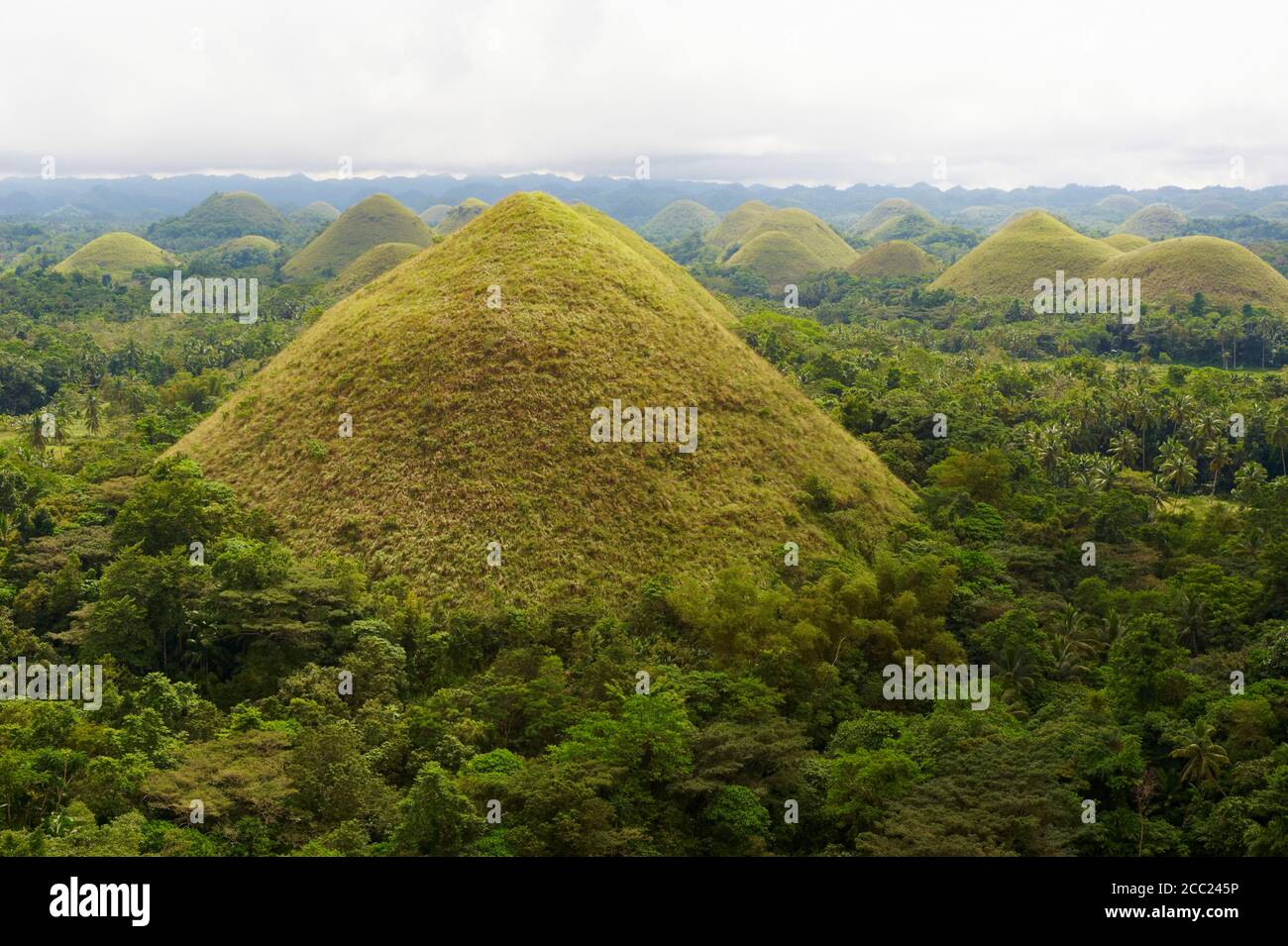 Philippinen, Visayas Inseln, Bohol Insel, Chocolate Hills. Stockfoto
