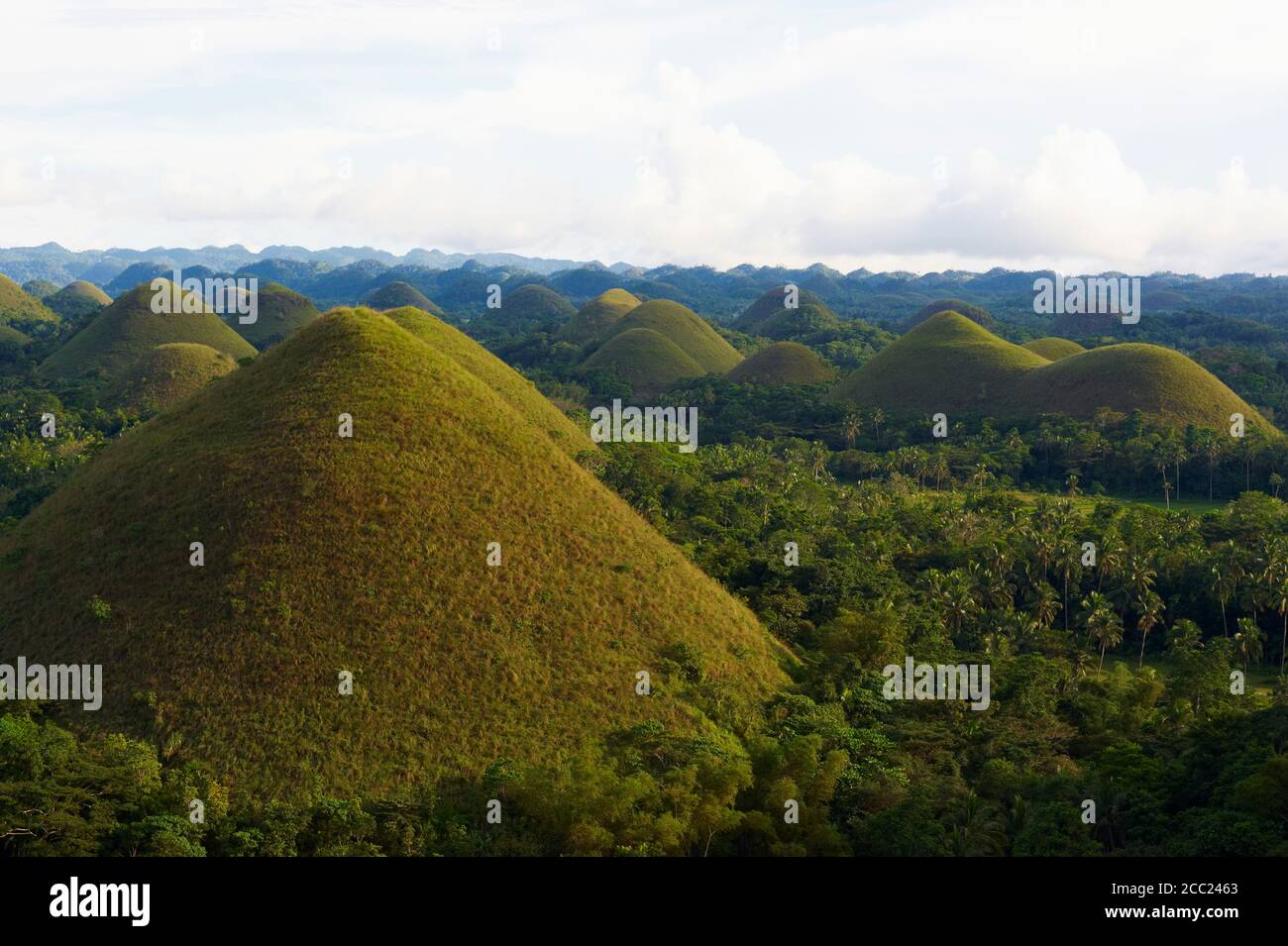 Philippinen, Visayas Inseln, Bohol Insel, Chocolate Hills. Stockfoto