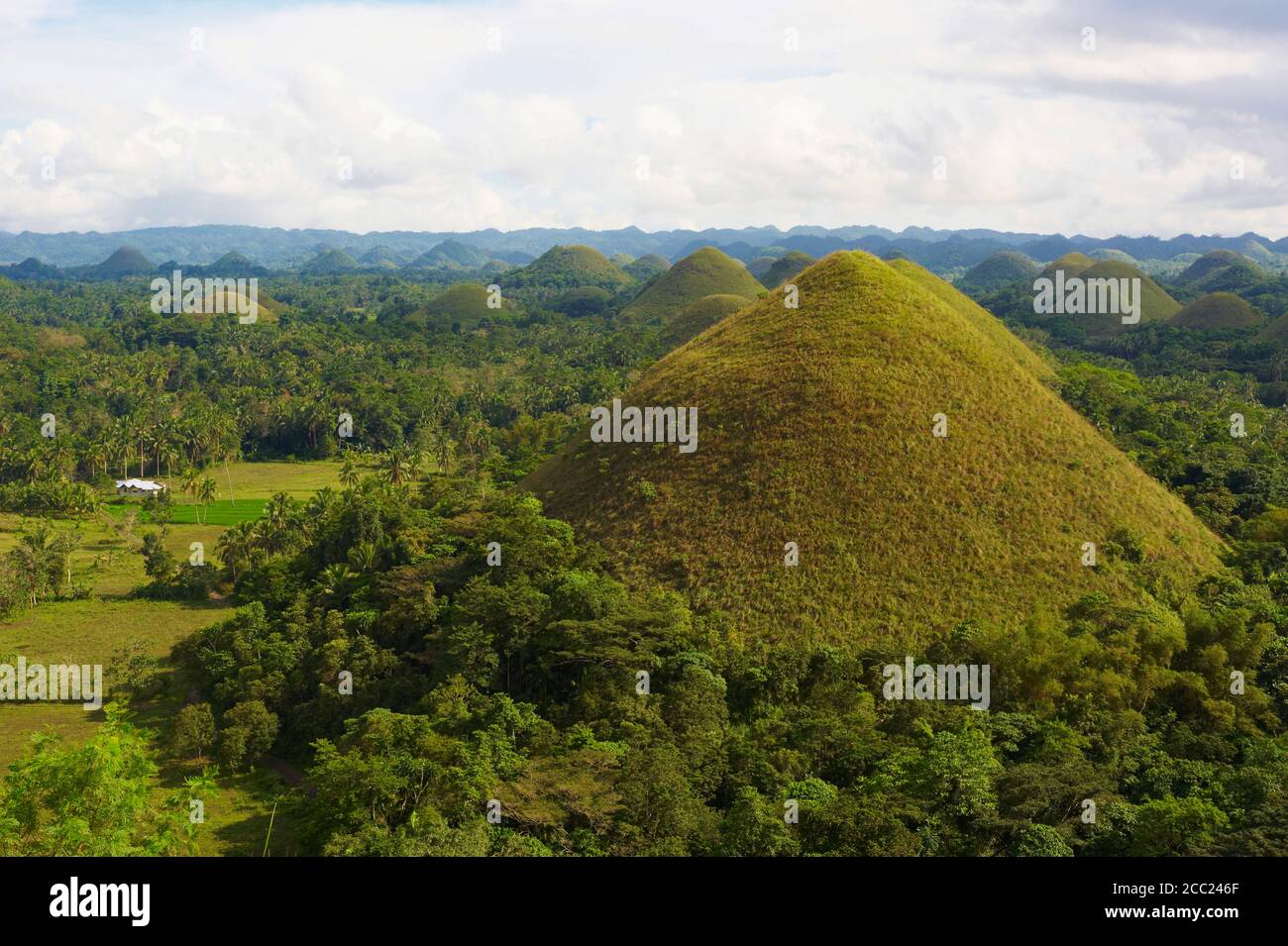 Philippinen, Visayas Inseln, Bohol Insel, Chocolate Hills. Stockfoto