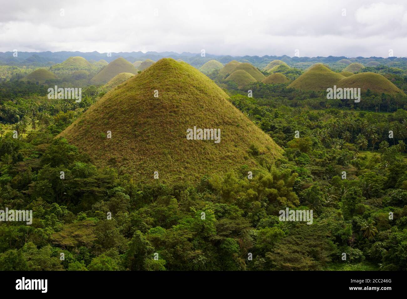 Philippinen, Visayas Inseln, Bohol Insel, Chocolate Hills. Stockfoto