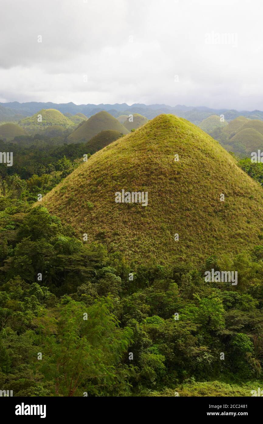Philippinen, Visayas Inseln, Bohol Insel, Chocolate Hills. Stockfoto