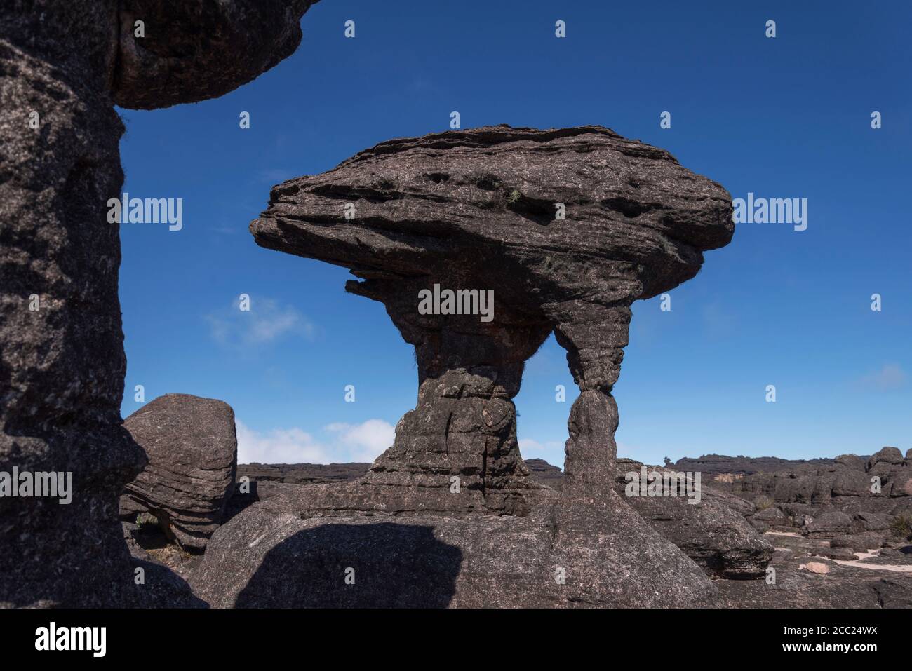 Venezuela, Blick auf erodierte Felsen bei Roraima Tepui Stockfoto