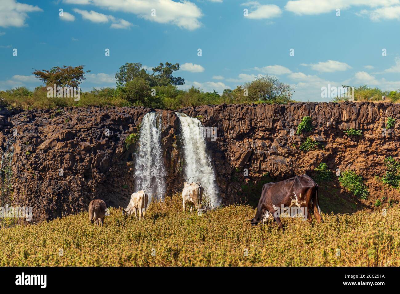 River nile fall waterfall -Fotos und -Bildmaterial in hoher Auflösung ...