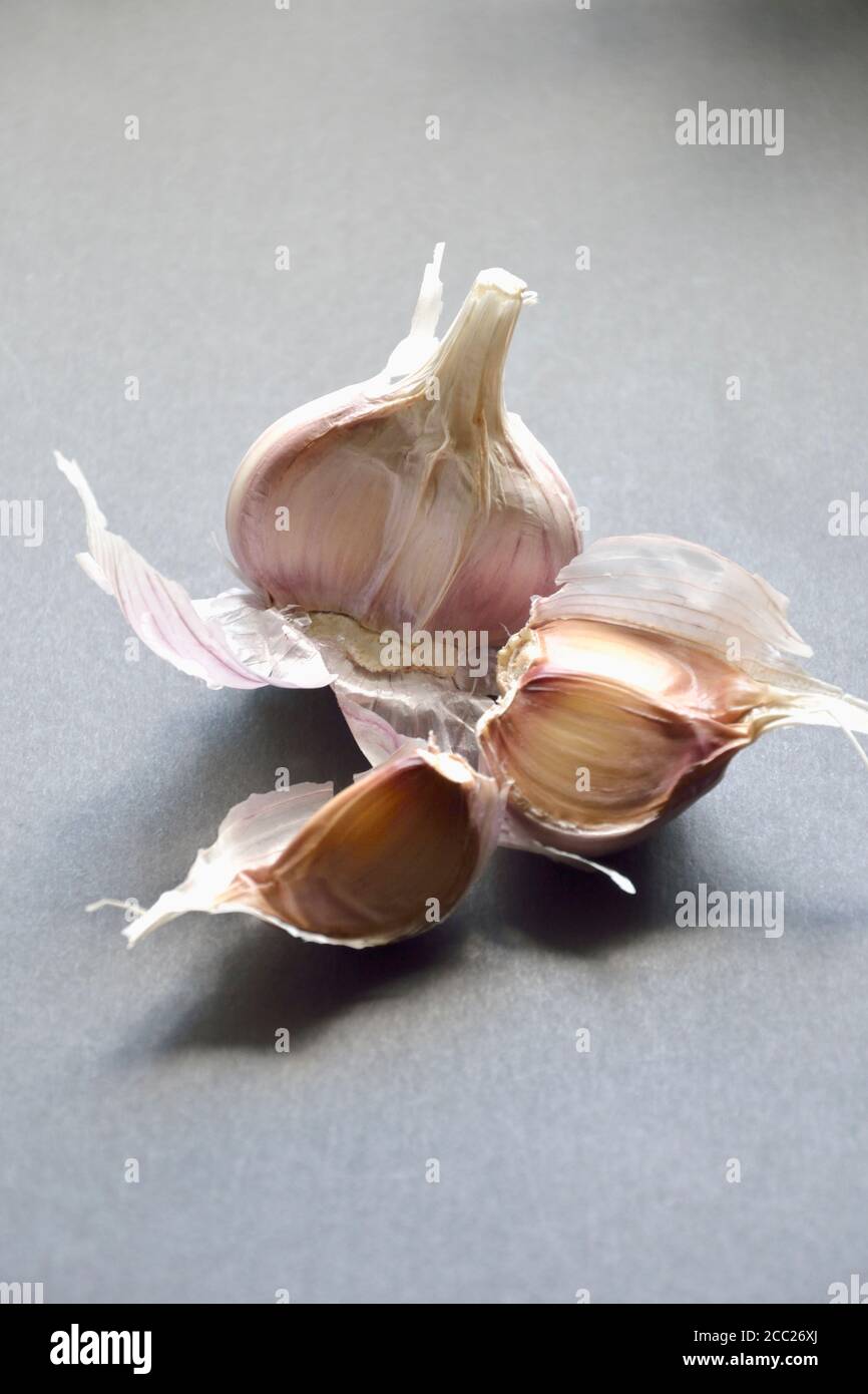 Knoblauchzehe auf grauem Hintergrund, Nahaufnahme Stockfoto