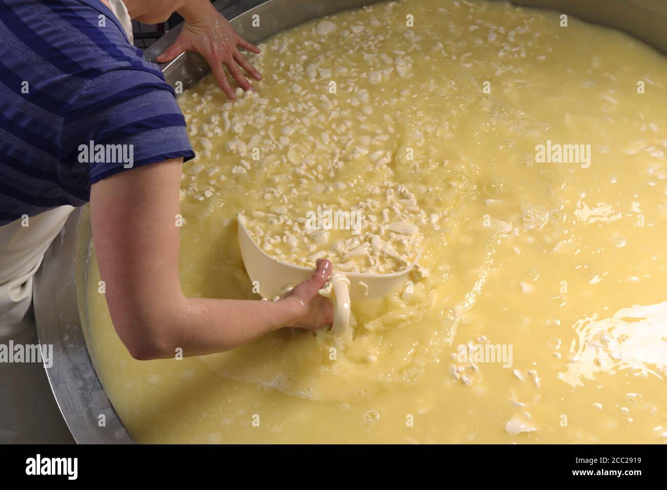 Deutschland, Baden-Württemberg, Mitte Erwachsene Frau bereitet Käse in der Industrie Stockfoto