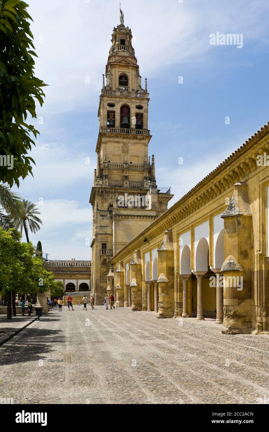 Spanien, Andalusien, Cordoba, Blick auf Patio von Mezquita mit Kirchturm Stockfoto