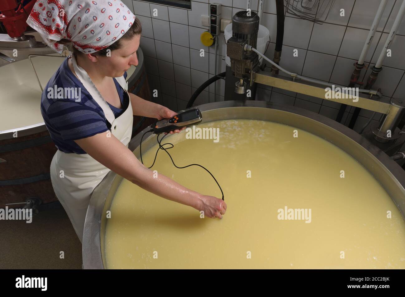Deutschland, Baden-Württemberg, Mitte Erwachsene Frau Temperaturmessung von Käse in der Industrie Stockfoto