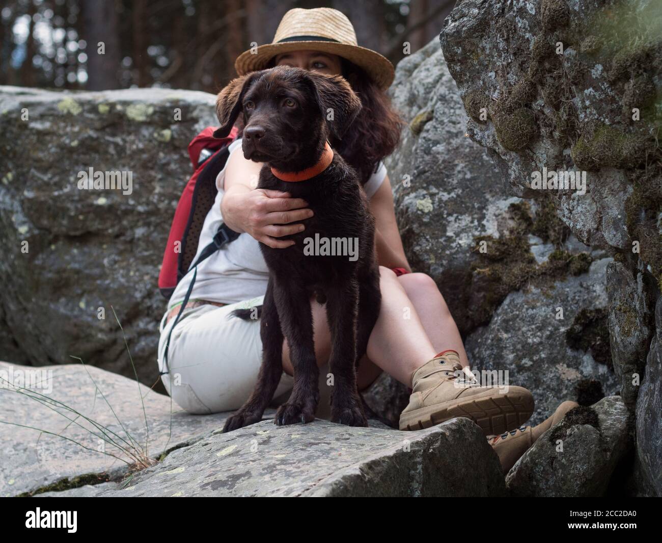 Weibchen mit ihrer sechs Monate alten Schokolade labrador Retriever saß auf einigen Steinen. Stockfoto