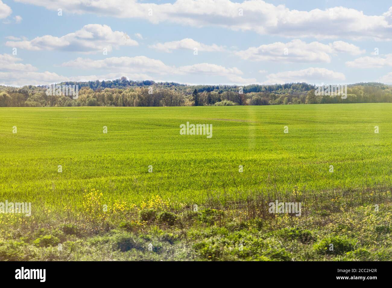 Großes grünes Feld und Bäume im Hintergrund. Der Blick vom Zugfenster. Stockfoto