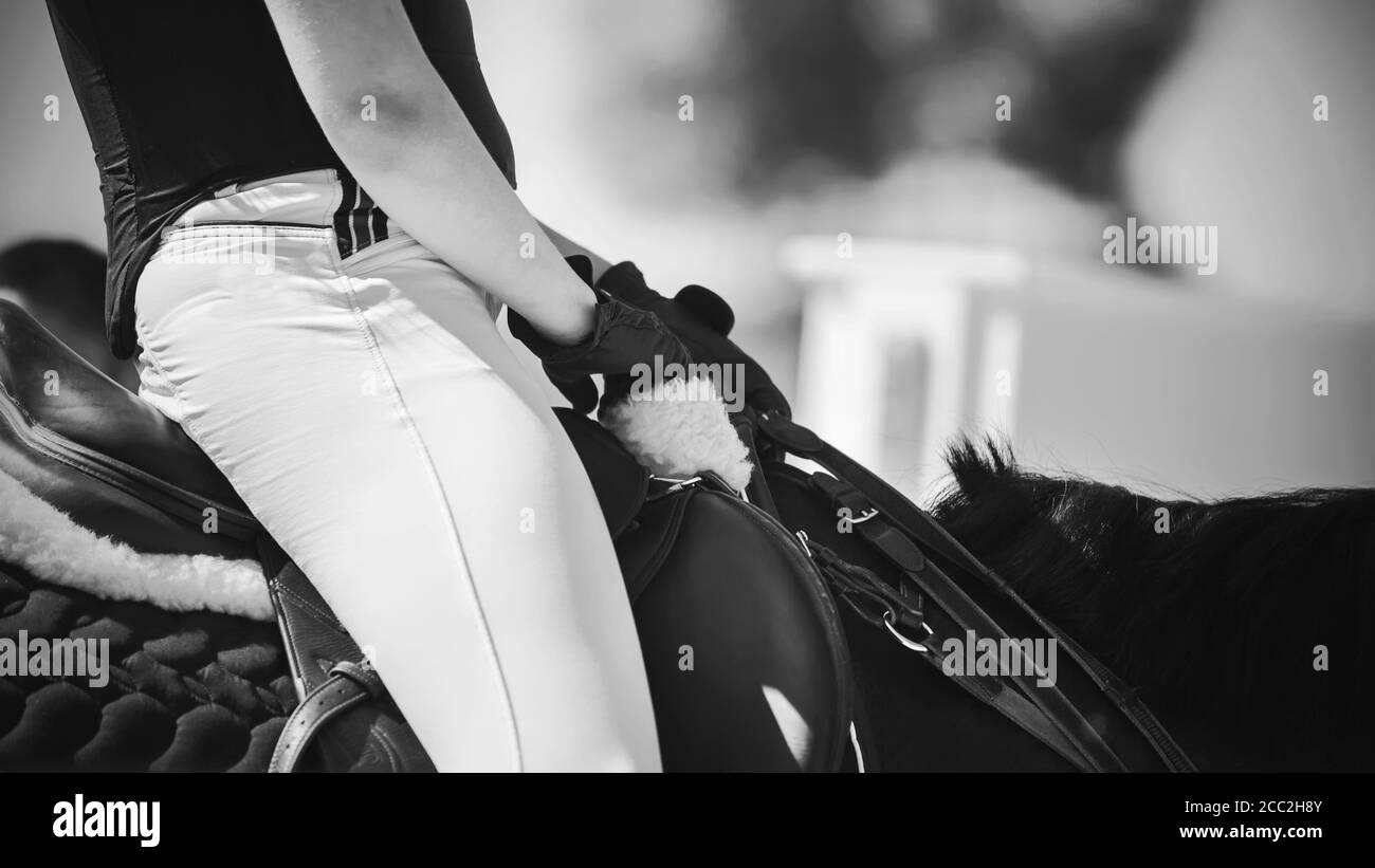 Ein schwarz-weißes Bild eines Reiters, der auf einem Pferd im Sattel sitzt und die Zügel hält. Pferdesport. Reiten. Stockfoto
