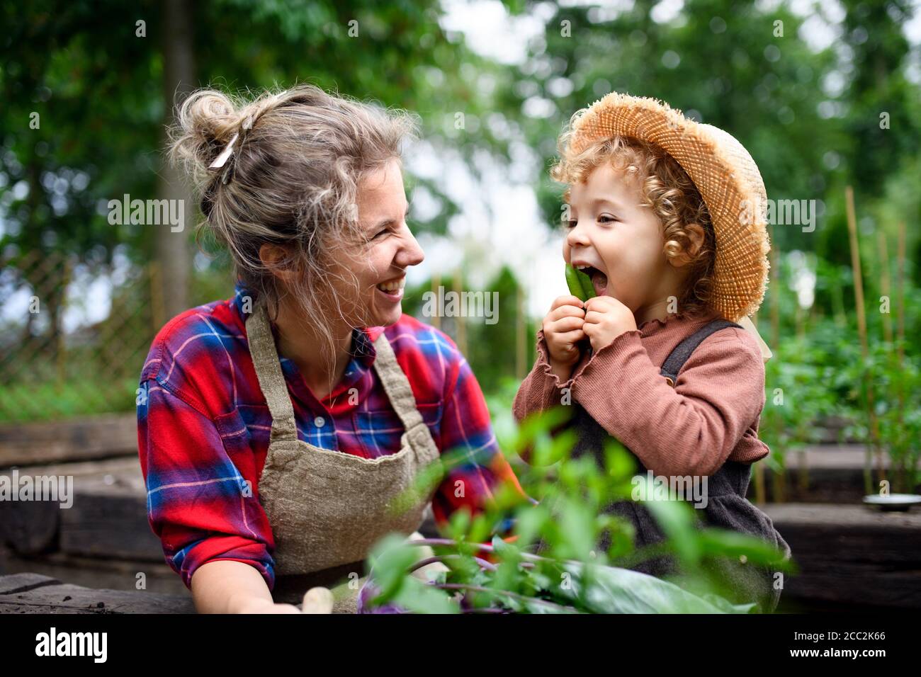 Mutter mit kleiner Tochter im Garten auf dem Bauernhof, Anbau von Bio-Gemüse. Stockfoto