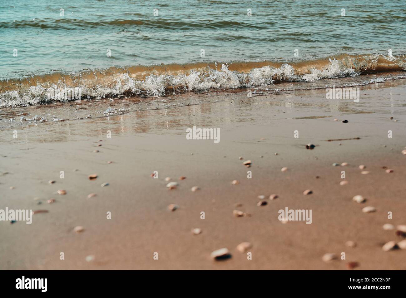 Teil eines Nordseestrandes mit einer kleinen Welle, verschwommener Vordergrund mit Muscheln im Sand Stockfoto