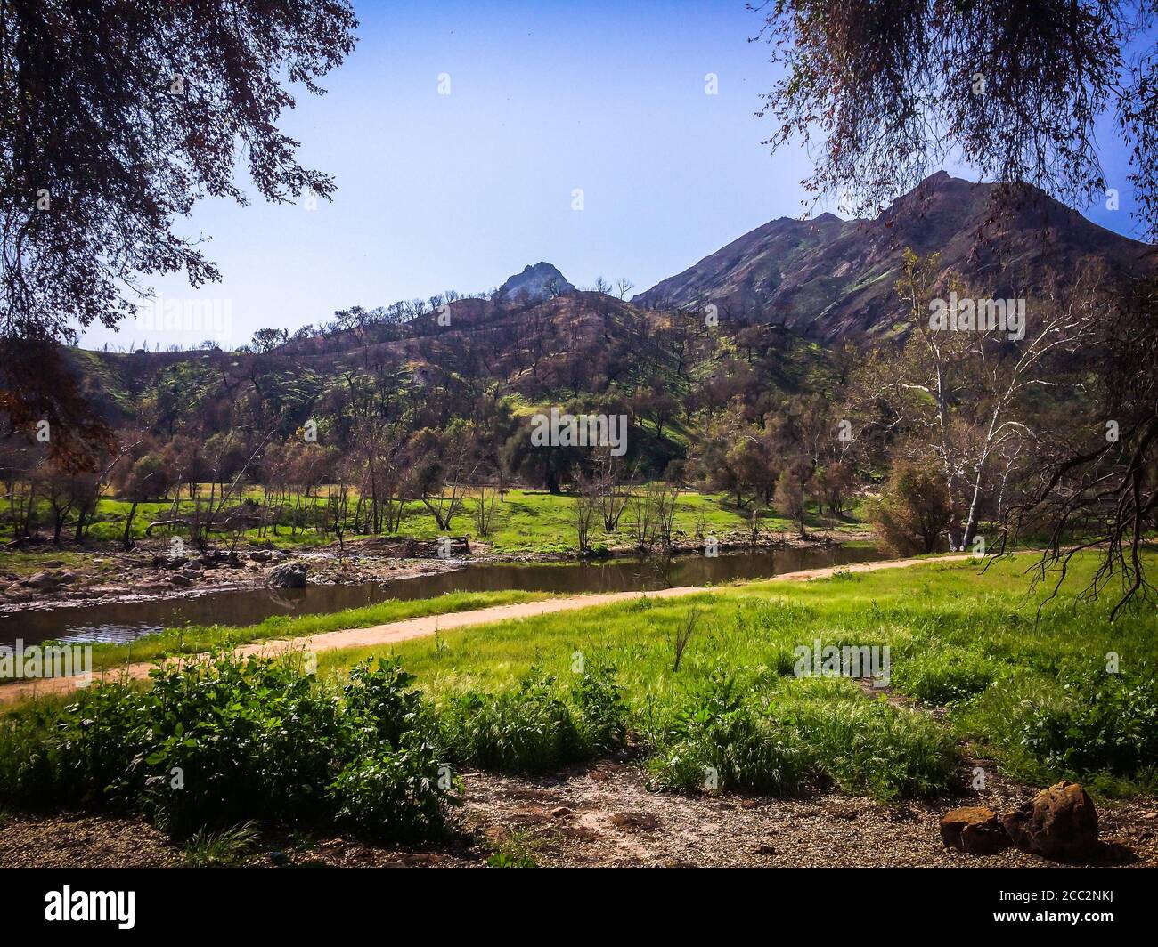 Nahaufnahme eines Hügels des Malibu Creek State Park In den Santa Monica Mountains im Frühjahr 2019 Stockfoto