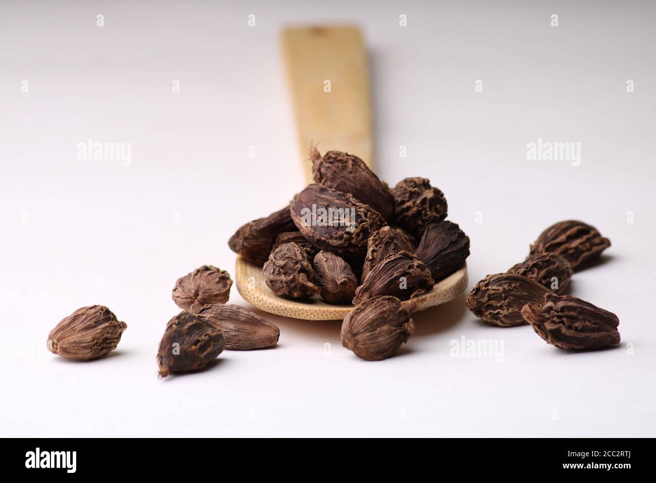 Indische Gewürz - Schwarzer Kardamom ganze Samen in einem Löffel Auf weißem Hintergrund Stockfoto