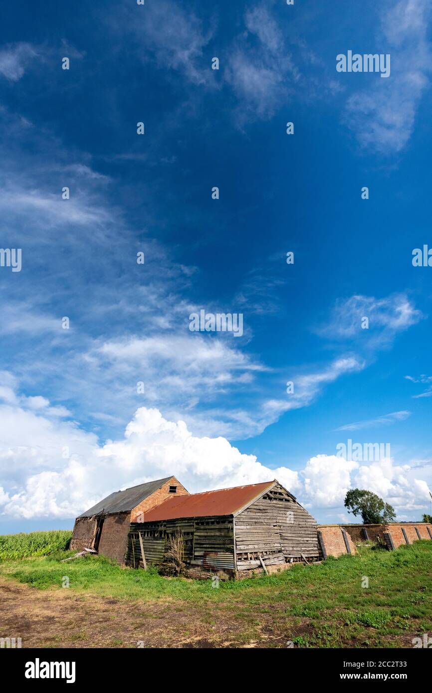 Sutton Gault Cambridgeshire, Großbritannien. August 2020. Die flache landwirtschaftliche Landschaft der Cambridgeshire Fens und der große Himmel zeigen spektakuläre Sturmwolken, während Gewitter und Regenschauer das Wetter von East Anglia noch heute beeinflussen. Kredit: Julian Eales/Alamy Live Nachrichten Stockfoto