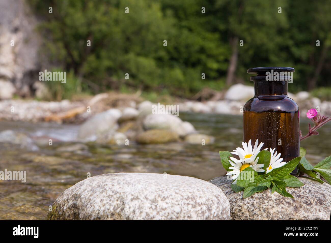 Kräutermedizin Vorbereitung mit Kräutern und Blumen, Aromatherapie. Stockfoto