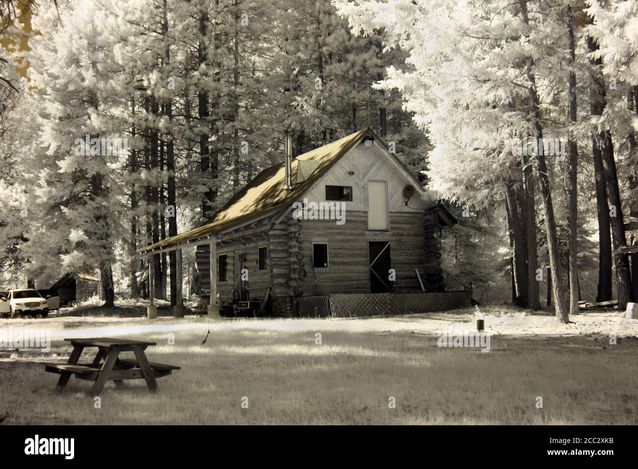Wunderschöne Blockhütte in einer abgelegenen Waldgegend im Bundesstaat Washington. Infrarotbild. Stockfoto