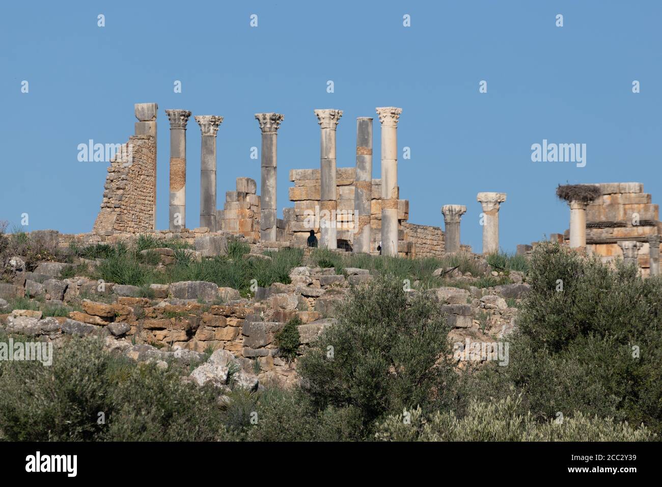 Volubilis ist eine teilweise ausgegrabene Berberstadt in Marokko in der Nähe Die Stadt Meknes Stockfoto