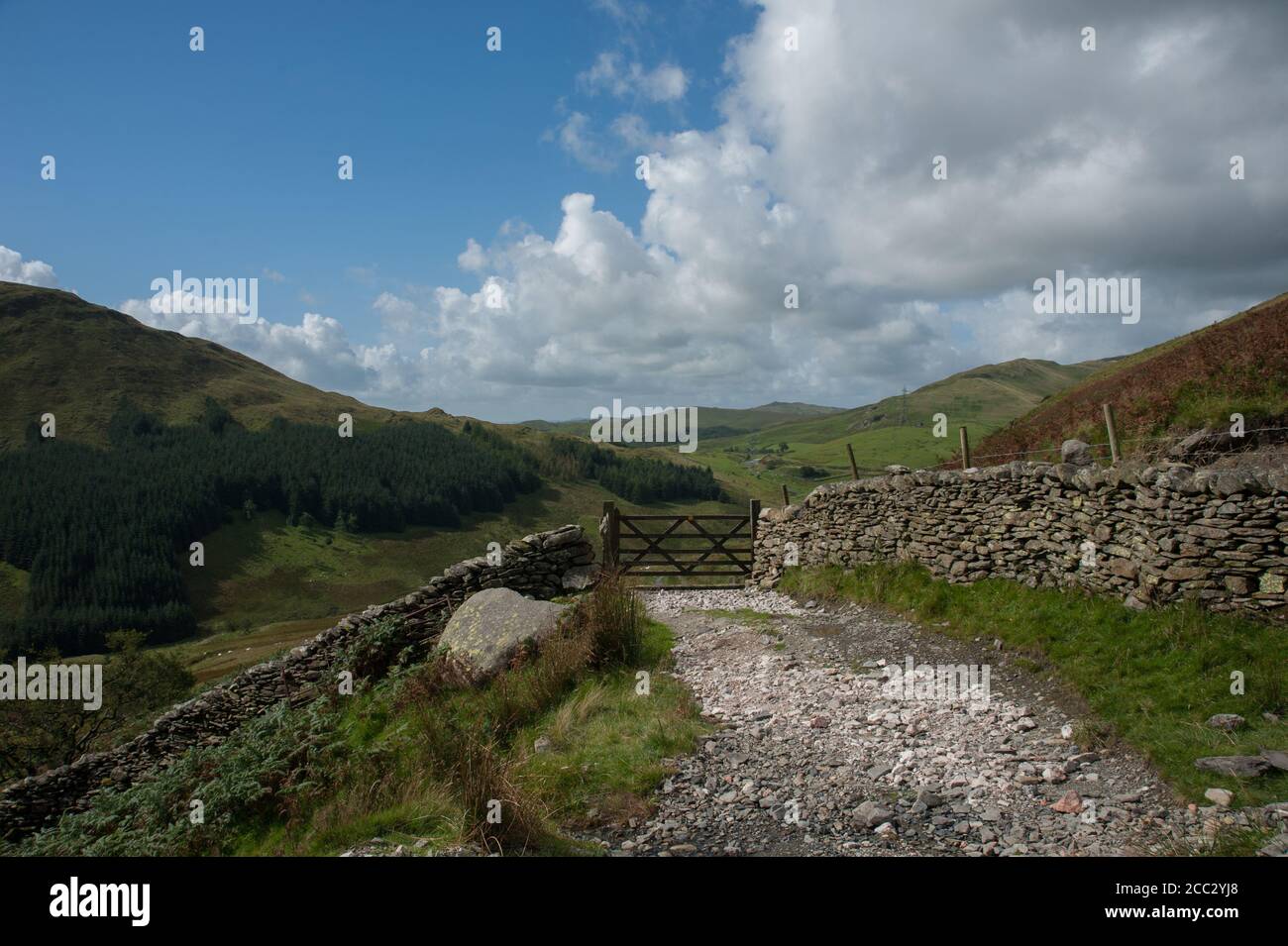 Der Thunder Stone neben der Breasthigh Road in den Eastern Fells Von Cumbria Stockfoto