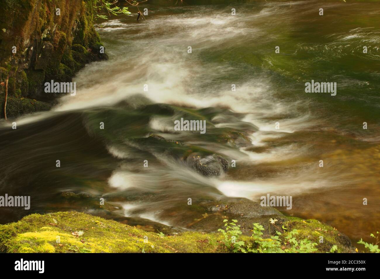 Eine Nahaufnahme des rauschenden Wassers im Fluss Avich, nahe Loch Avich, Argyll, Schottland, zeigt schnell fließendes Wasser über Felsen Stockfoto