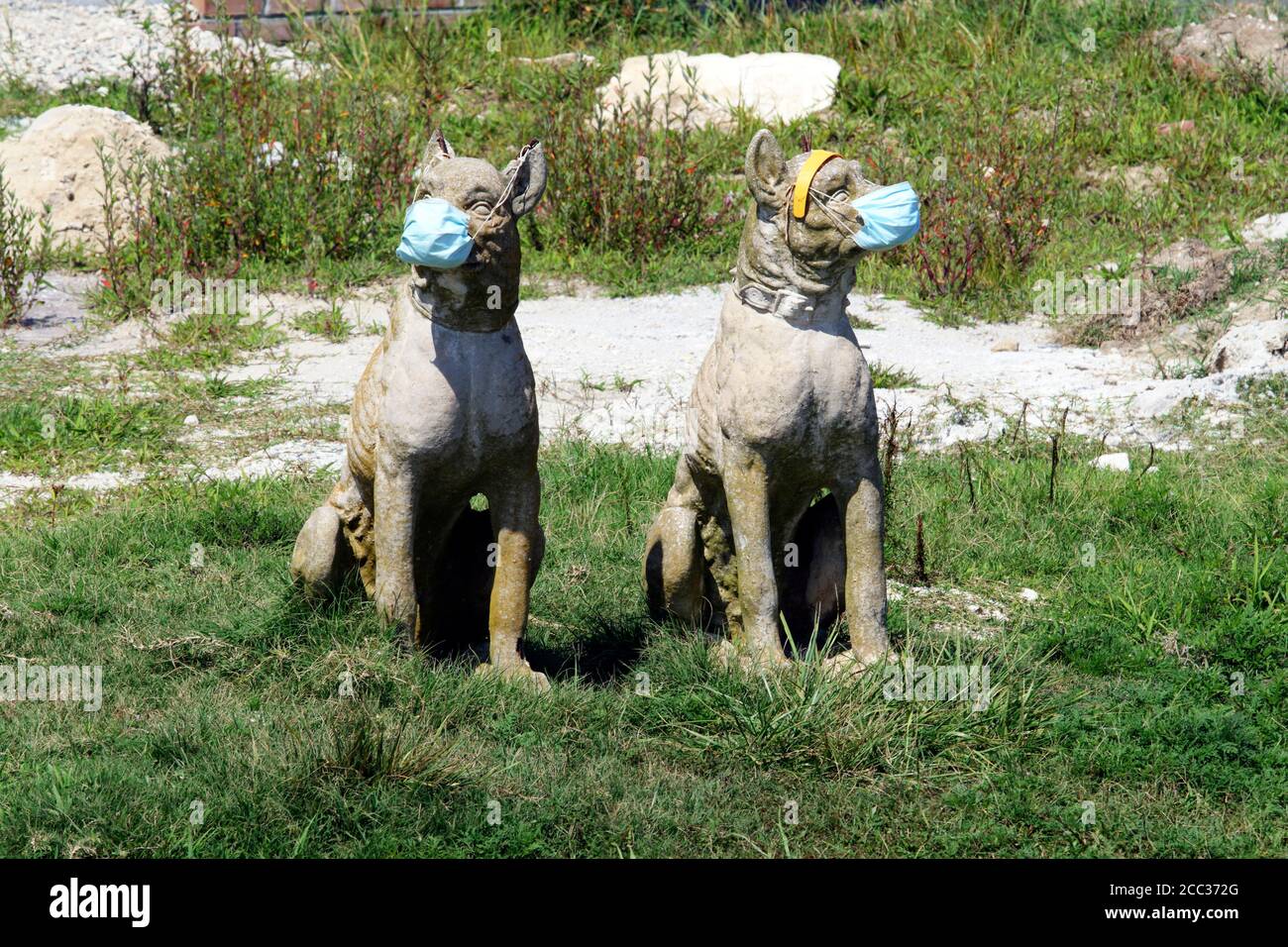 Zwei Steinhunde, die als Rasendekorationen verwendet werden, sind während der Corona Virus Pandemie humorvoll mit Gesichtsmasken gekleidet. Cape May, New Jersey, USA Stockfoto