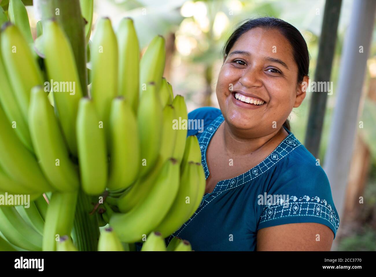 Eine junge Latina lächelt mit einem Haufen Bananen, die auf ihrer Farm in der ländlichen Provinz Sullana, Peru, Südamerika hängen. Stockfoto