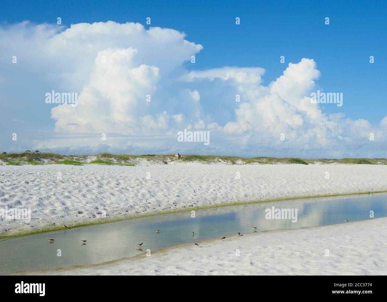 Wunderschöne White Sand Florida Beach und Cumulus Wolken spiegeln sich in Ein Gezeitenpool Stockfoto