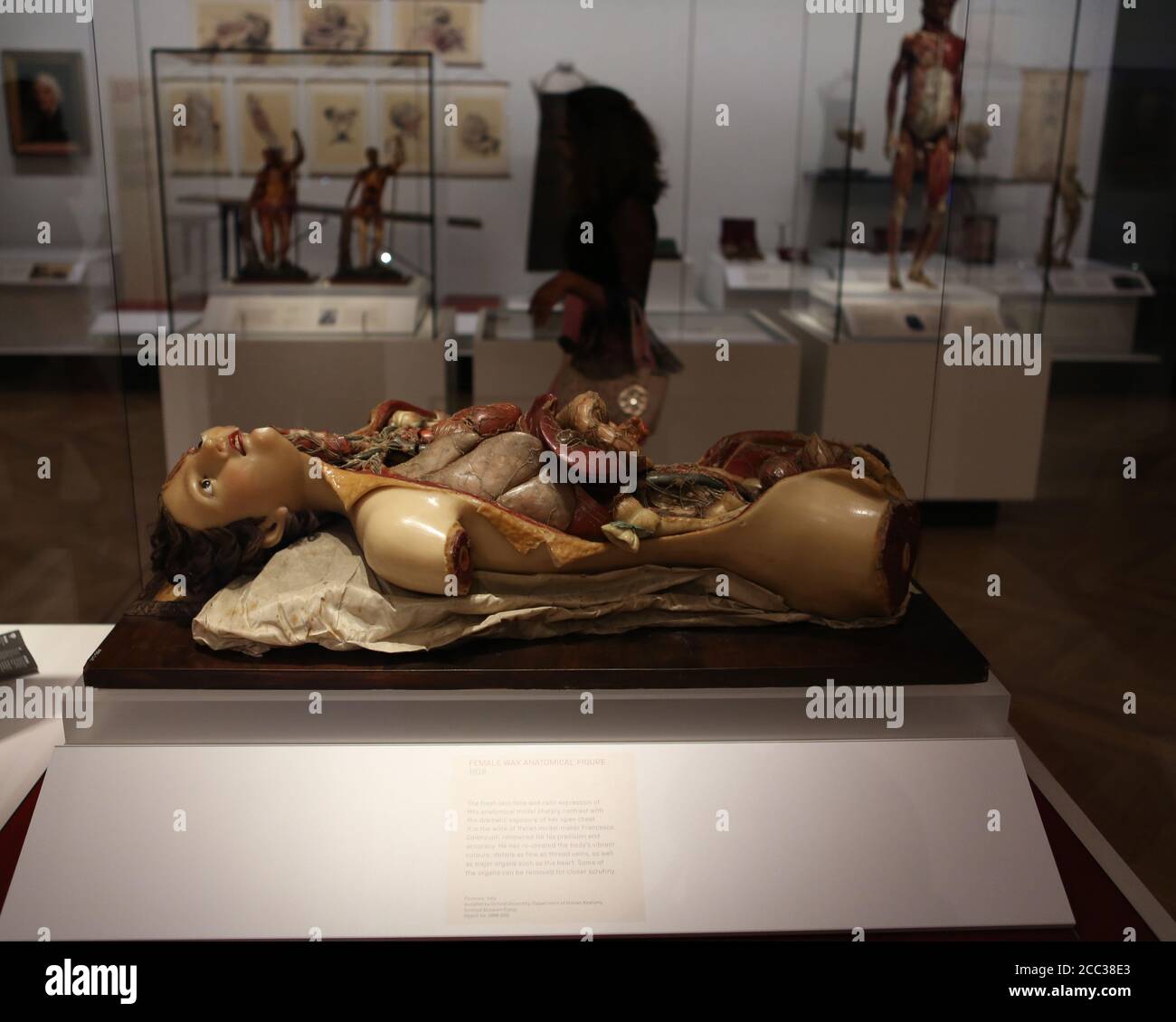 Mit dreitausend Objekten und einer Fläche von 1,500 Krankenhausbetten ist Medicine: The Wellcome Galleries das großartige neue Zuhause für die bedeutendsten medizinischen Sammlungen der Welt. Die Galerien zeigen außergewöhnliche medizinische Artefakte aus den Sammlungen von Henry Wellcome und der Science Museum Group, darunter den weltweit ersten MRT-Scanner, Flemings Penicillin-Form, einen professionellen Pianisten-Prothesenarm und sogar robotische chirurgische Geräte. Sie erkunden unsere Beziehung zu Medizin und Gesundheit durch mehr als 500 Jahre Geschichte. Stockfoto