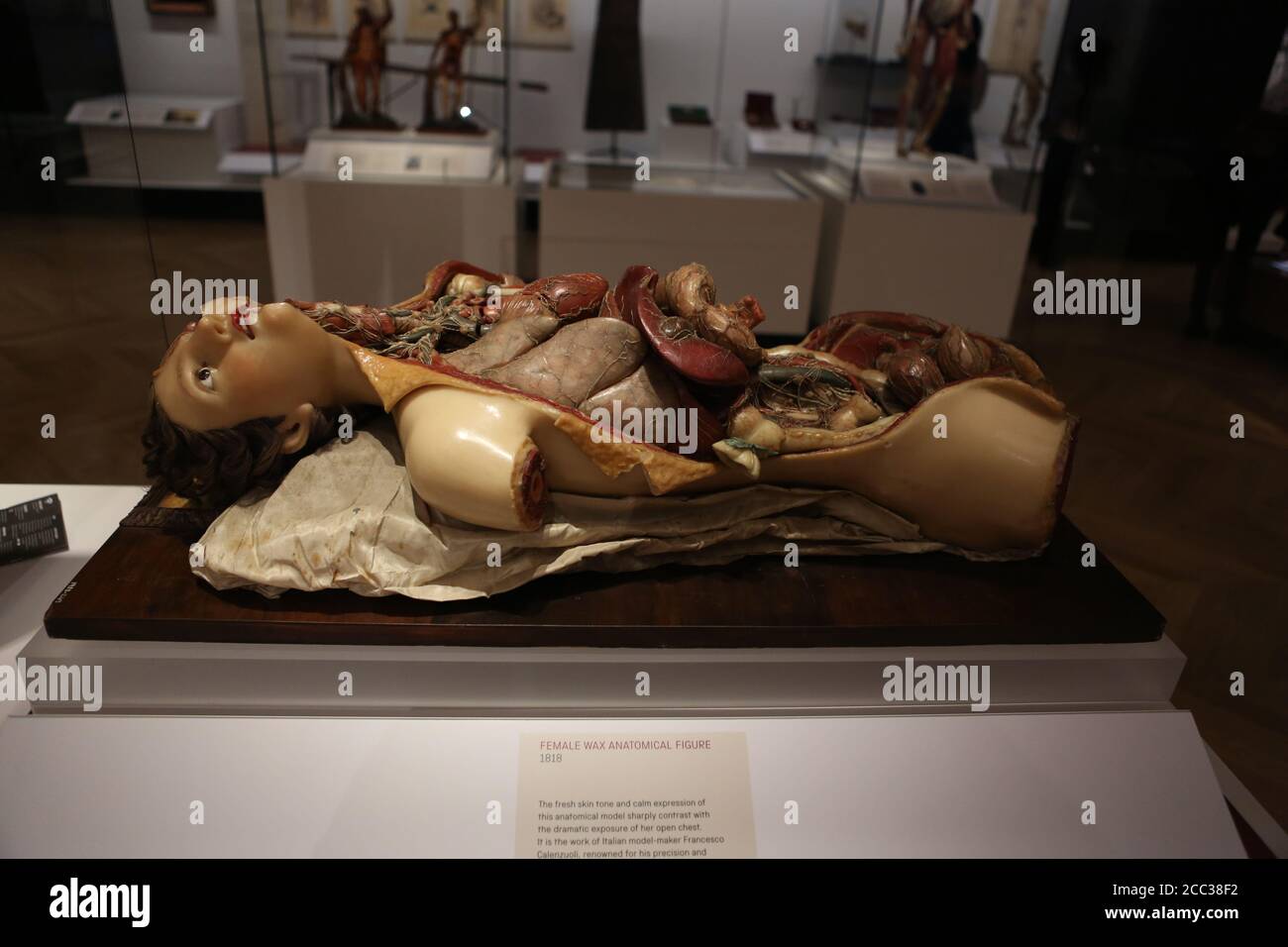 Mit dreitausend Objekten und einer Fläche von 1,500 Krankenhausbetten ist Medicine: The Wellcome Galleries das großartige neue Zuhause für die bedeutendsten medizinischen Sammlungen der Welt. Die Galerien zeigen außergewöhnliche medizinische Artefakte aus den Sammlungen von Henry Wellcome und der Science Museum Group, darunter den weltweit ersten MRT-Scanner, Flemings Penicillin-Form, einen professionellen Pianisten-Prothesenarm und sogar robotische chirurgische Geräte. Sie erkunden unsere Beziehung zu Medizin und Gesundheit durch mehr als 500 Jahre Geschichte. Stockfoto