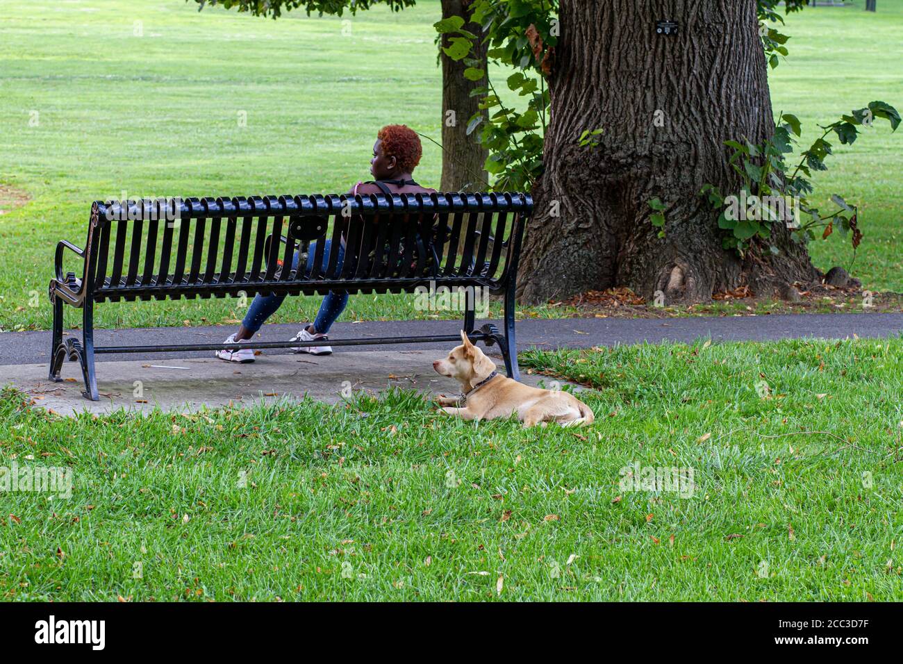 Frederick, MD, USA 08/14/2020: Eine junge afroamerikanische Frau mit kurzen roten Haaren, die Strumpfhosen und Turnschuhe trägt, sitzt allein auf einer Bank in Ba Stockfoto