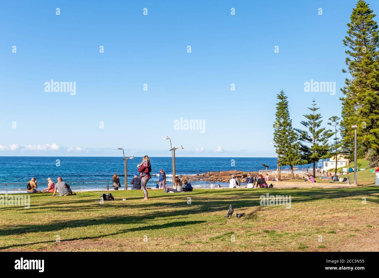 Menschen, die sich im Grass-Bereich vor Dee Why ausruhen Strand an einem sonnigen Herbstnachmittag Stockfoto