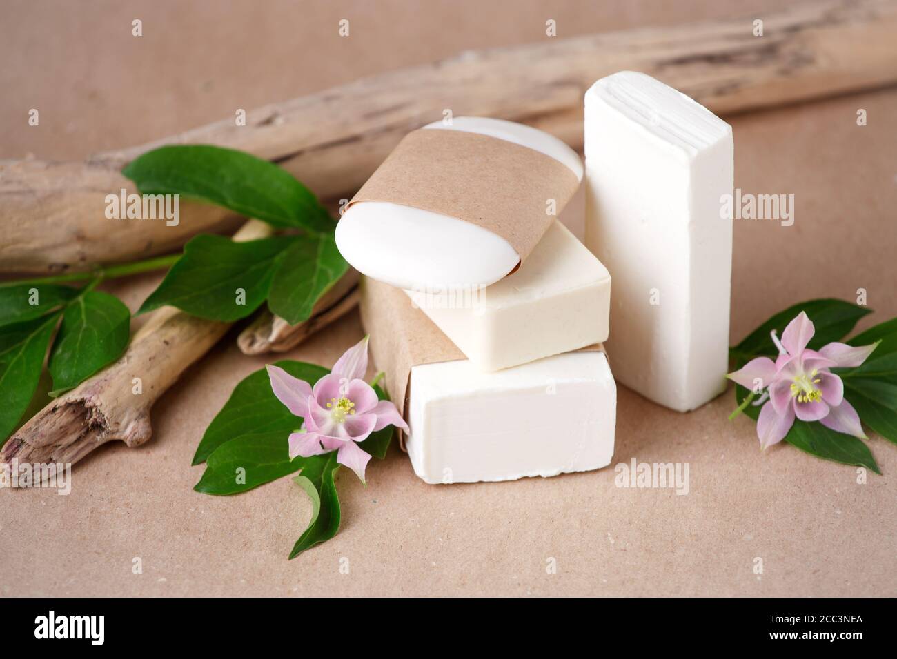 Kosmetische Natur Hautpflege und ätherisches Öl aromatherap, Bio Naturwissenschaft Schönheit Produkt pflanzliche alternative Medizin, Kopierer Raum, umweltfreundliche s Stockfoto
