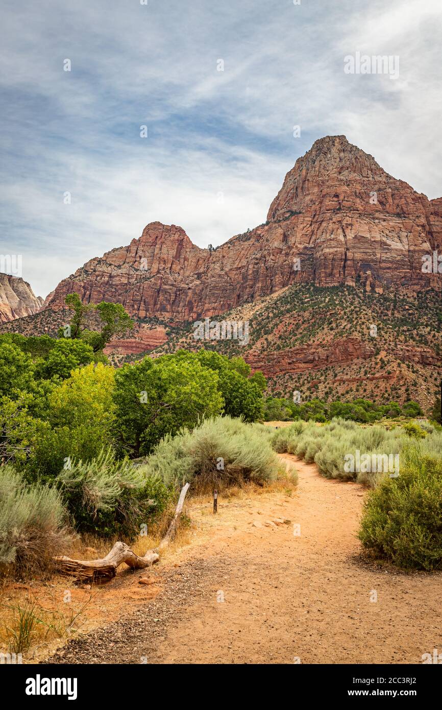 Der Watchman Trail ist ein 3 Meilen Rundwanderweg, der am Watchman Overlook im Zion National Park in Utah endet. Stockfoto