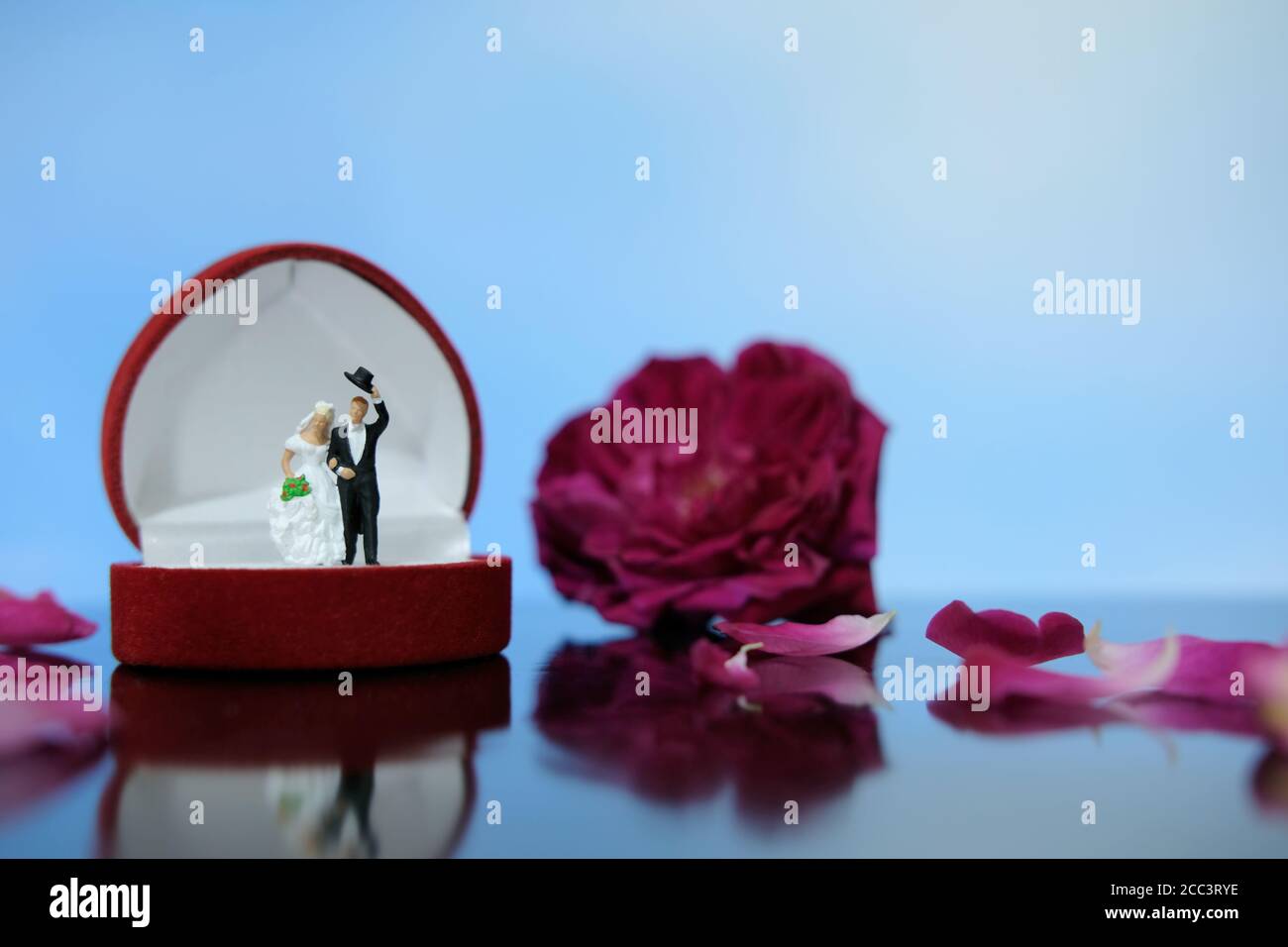 Miniaturfotografie Outdoor Ehe Hochzeitskonzept, Braut und Bräutigam stehen über geöffneten Ring Box auf rot weiß Rose Blumenstapel Stockfoto