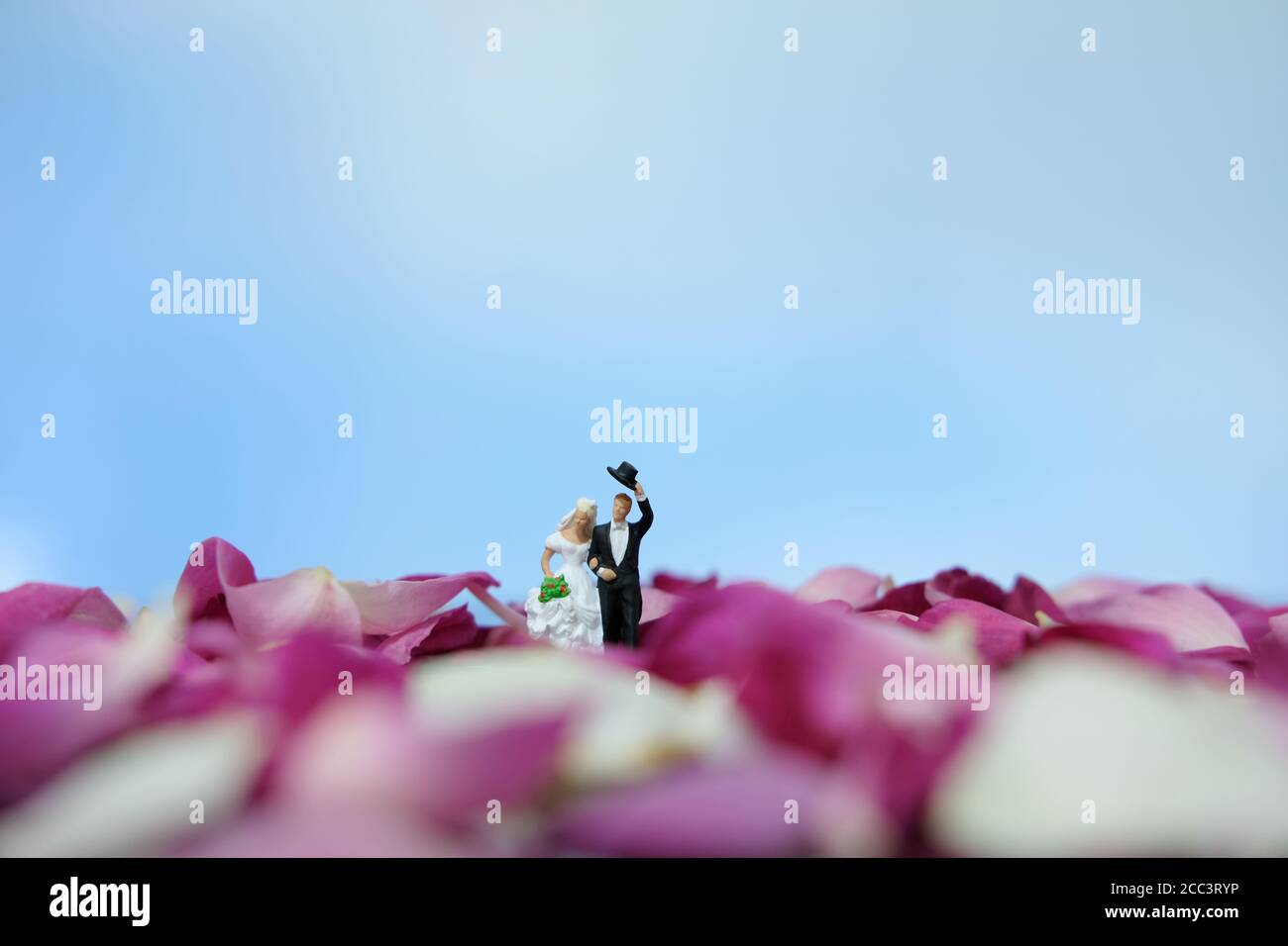 Miniatur-Fotografie - Hochzeit im Freien Konzept, Braut und Bräutigam zu Fuß auf rot weißen Rosenblüten Haufen Stockfoto