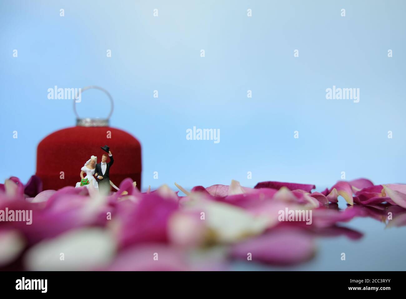 Miniatur-Fotografie im Freien Hochzeit Konzept, Braut und Bräutigam zu Fuß vor der geöffneten Ring-Box auf rot weiß Rose Blumenstapel Stockfoto