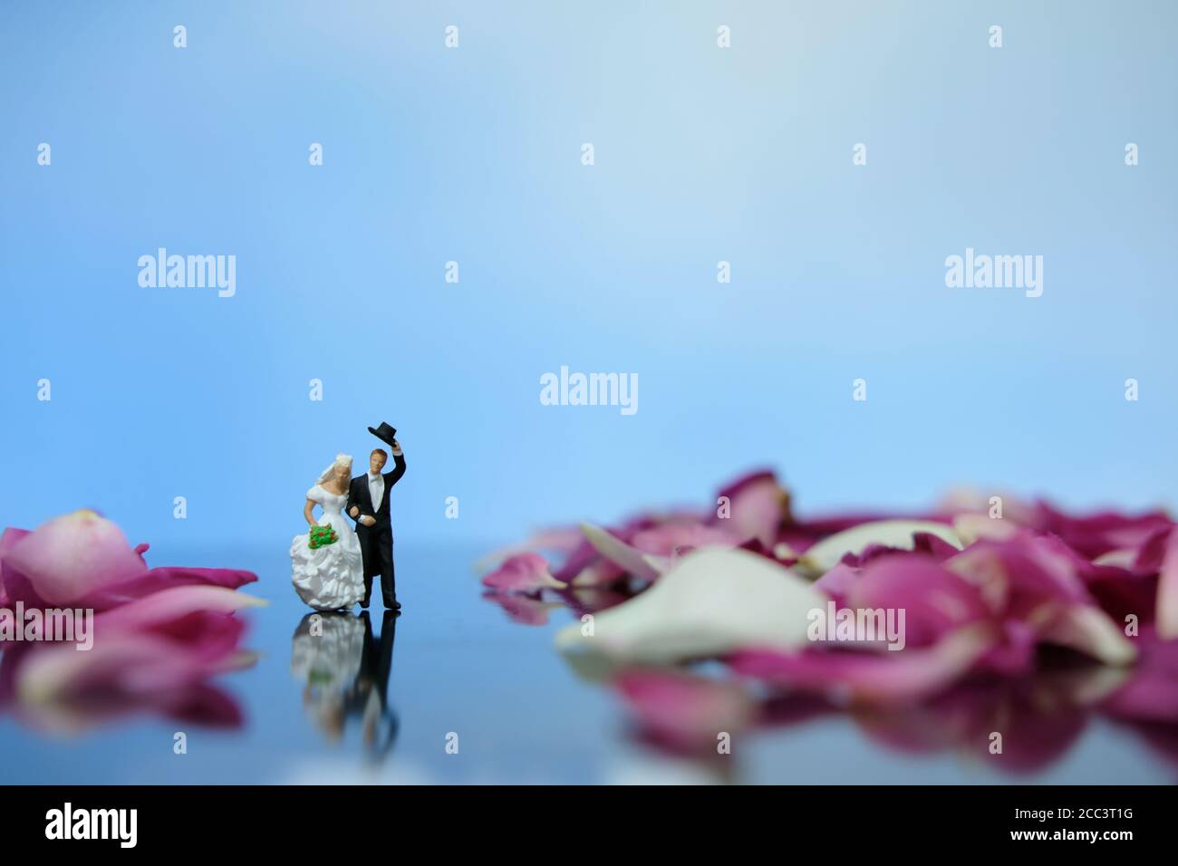 Miniatur-Fotografie im Freien Hochzeit Konzept, Braut und Bräutigam zu Fuß auf rot weiß Rose Blumenstapel Stockfoto