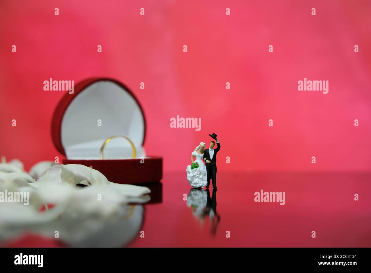 Miniaturfotografie - Gartenblume Outdoor Hochzeitskonzept, Braut und Bräutigam zu Fuß auf glänzendem Boden mit weißem Rosenblatt, einschließlich roter Herzform Stockfoto