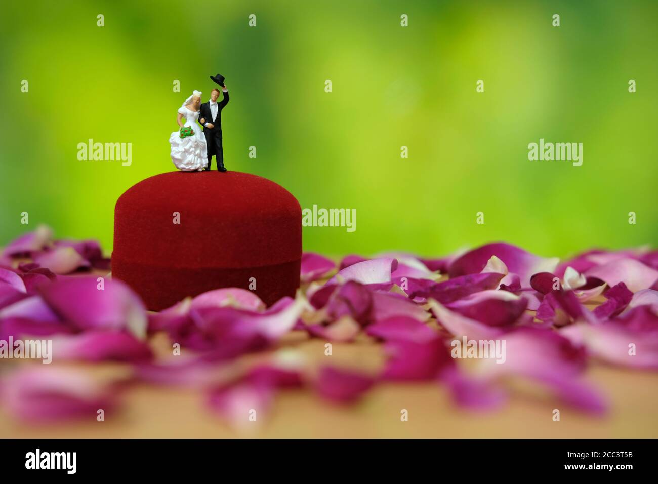 Miniaturfotografie - Outdoor Garten Hochzeitszeremonie Konzept, Braut und Bräutigam stehen über Ring-Box in der Mitte der roten Rose Blumenstapel Stockfoto