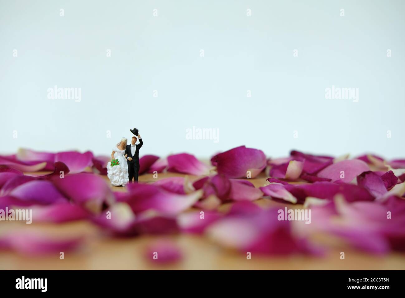 Miniaturfotografie - Outdoor Hochzeit / Garten Hochzeitszeremonie Konzept, Braut und Bräutigam zu Fuß auf roten Rosenblüten Haufen Stockfoto