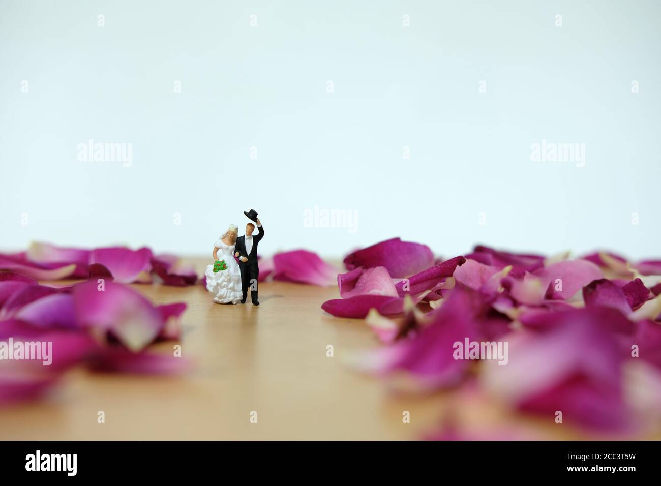 Miniaturfotografie - Outdoor Garten Hochzeitszeremonie Konzept, Braut und Bräutigam zu Fuß auf roten Rosenblüten Haufen Stockfoto