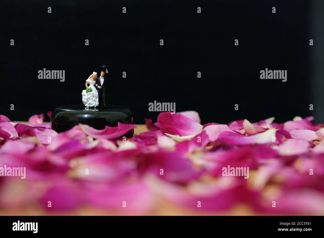 Miniaturfotografie - Outdoor Garten Hochzeitszeremonie Konzept, Braut und Bräutigam zu Fuß auf roten Rosenblüten Haufen Stockfoto